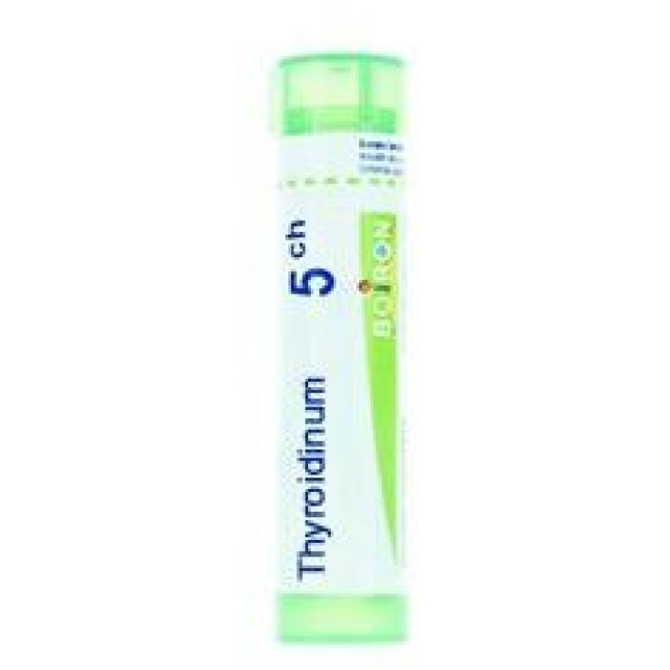 Thyroidea 5ch Gr 4g Thyroidea 5ch Gr 4g
