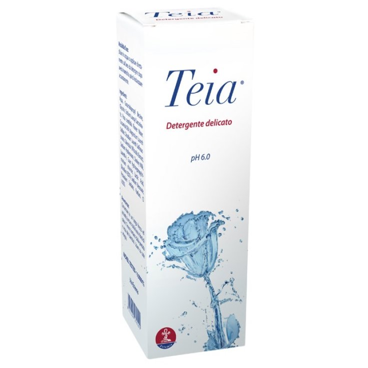 TEIA DETERGENTE CORPO 250ML TEIA DETERGENTE CORPO 250ML