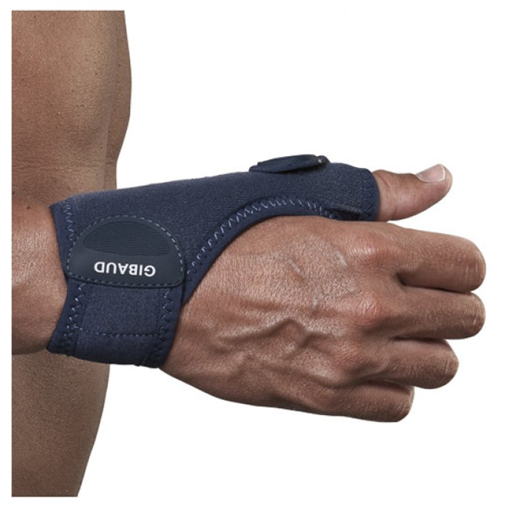 Gibaud Ortho Rhizogib Ort Dx 2 Gibaud Ortho Rhizogib Ort Dx 2