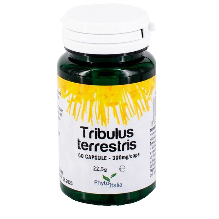 Tribulus Terrestris 60cps Tribulus Terrestris 60cps