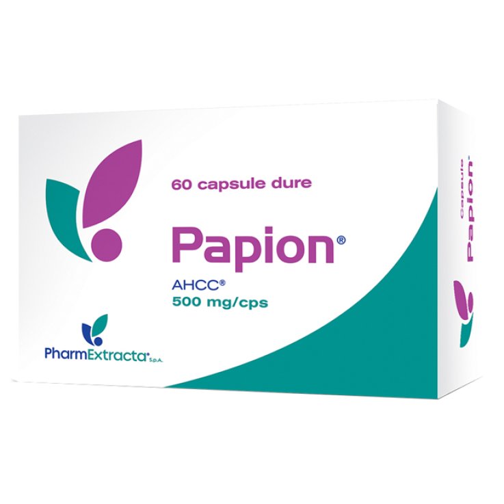 Papion 60cps Dure Papion 60cps Dure