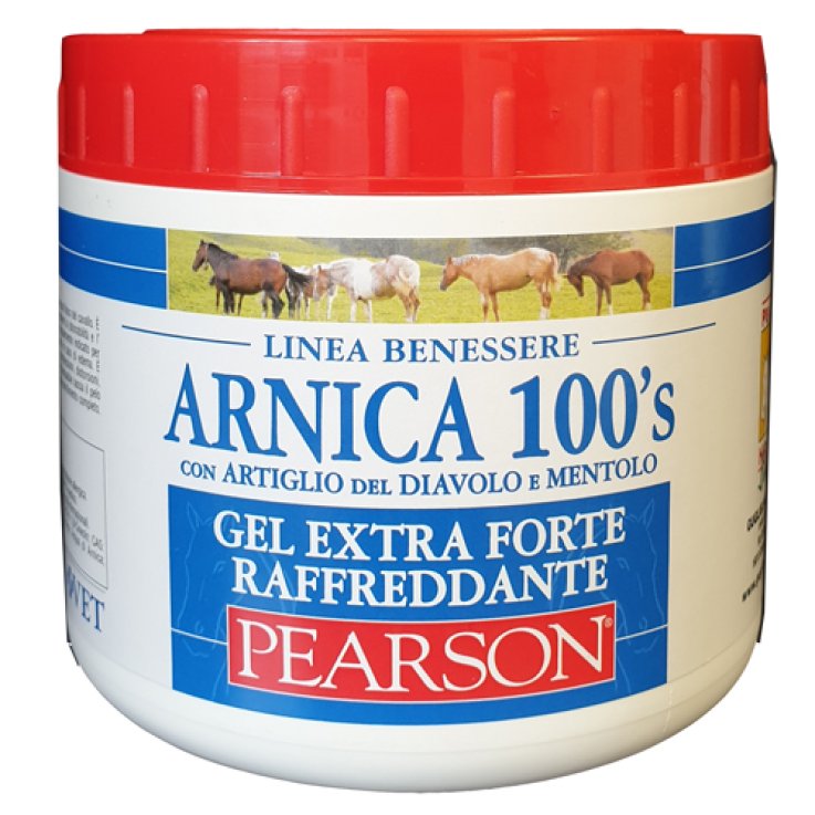 Arnica 100's Gel Ex Ft Raff500 Arnica 100's Gel Ex Ft Raff500