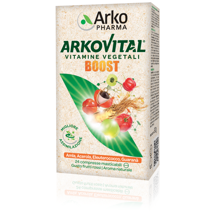 ARKOVITAL BOOST 24CPR ARKOVITAL BOOST 24CPR