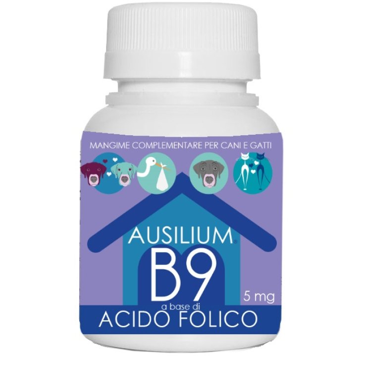 AUSILIUM B9 VET ACIDO FOLICO AUSILIUM B9 VET ACIDO FOLICO