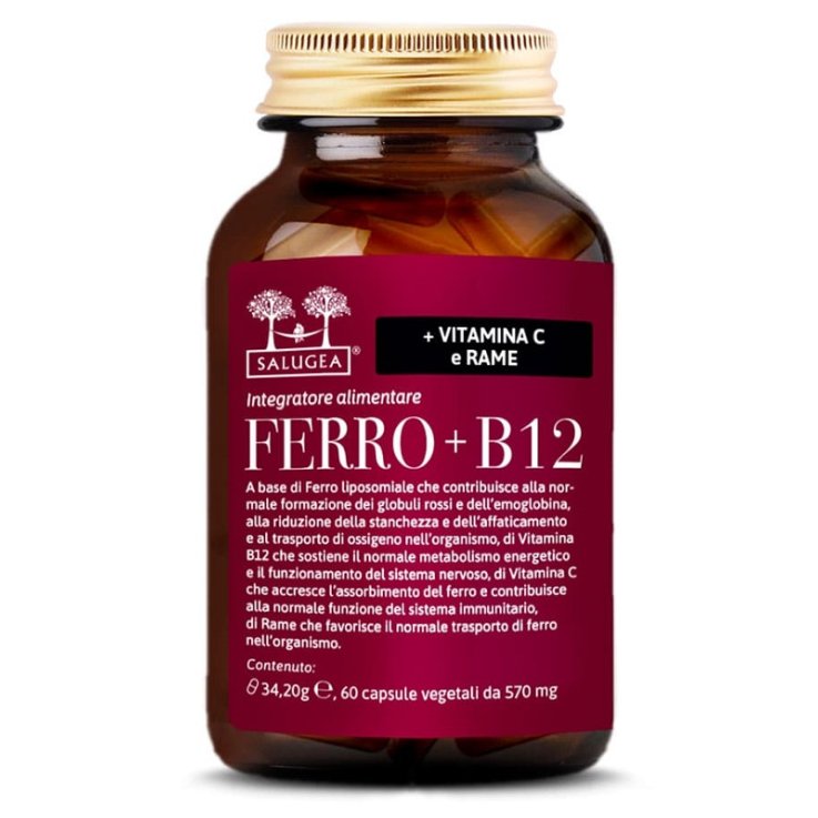 Ferro+b12 Salugea 60cps