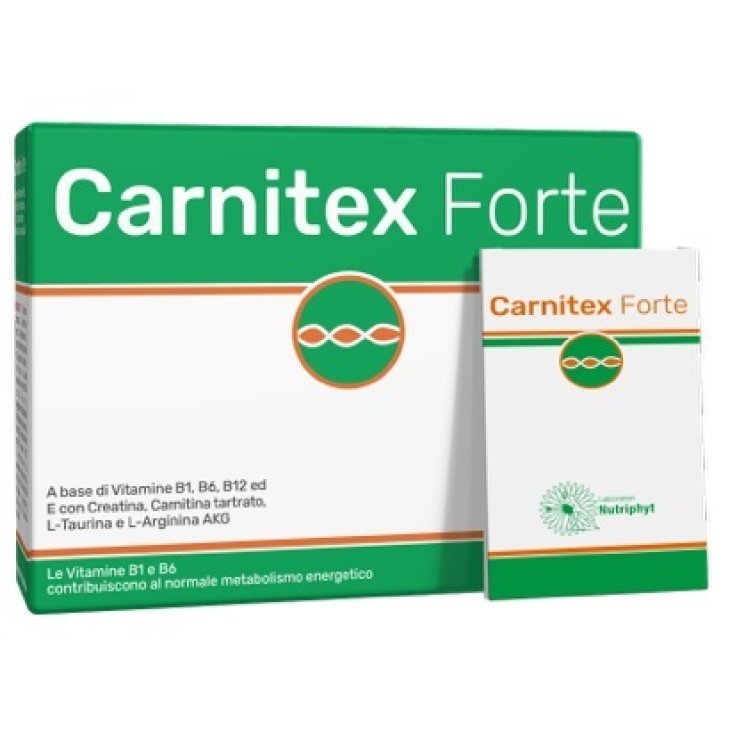 Carnitex Forte 14bust Carnitex Forte 14bust