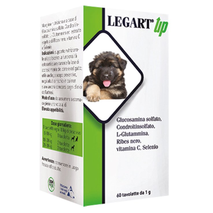 Legart Up 60cpr