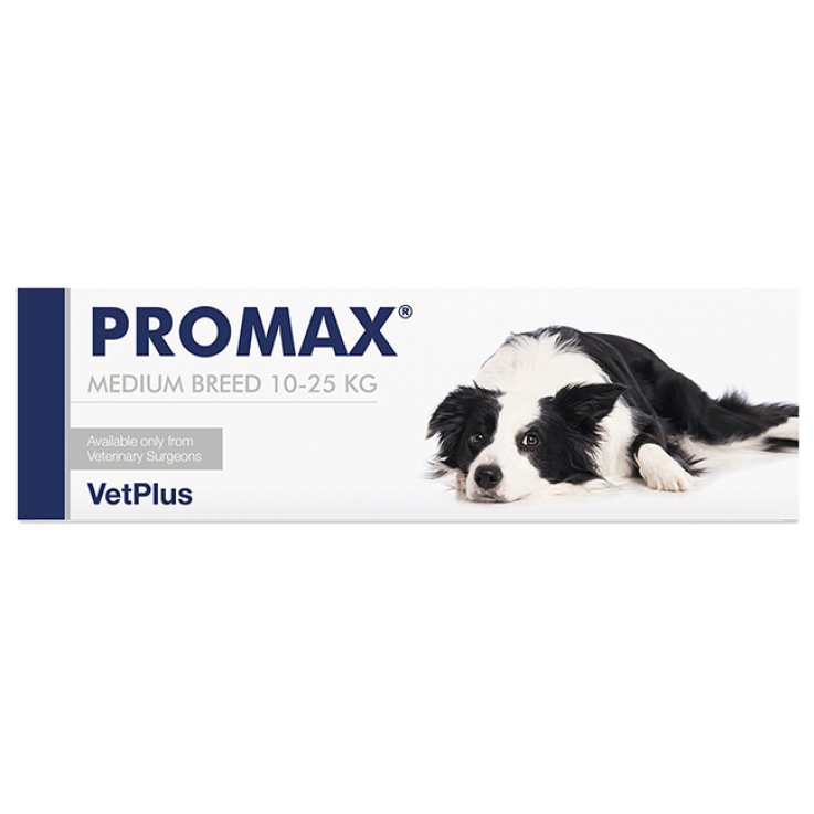 Promax Medium Breed 18ml Promax Medium Breed 18ml