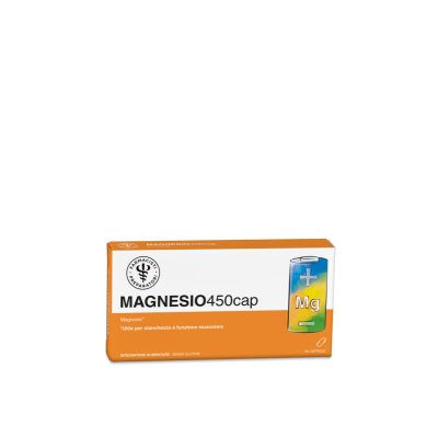 LFP MAGNESIO 450CAP 30CPS