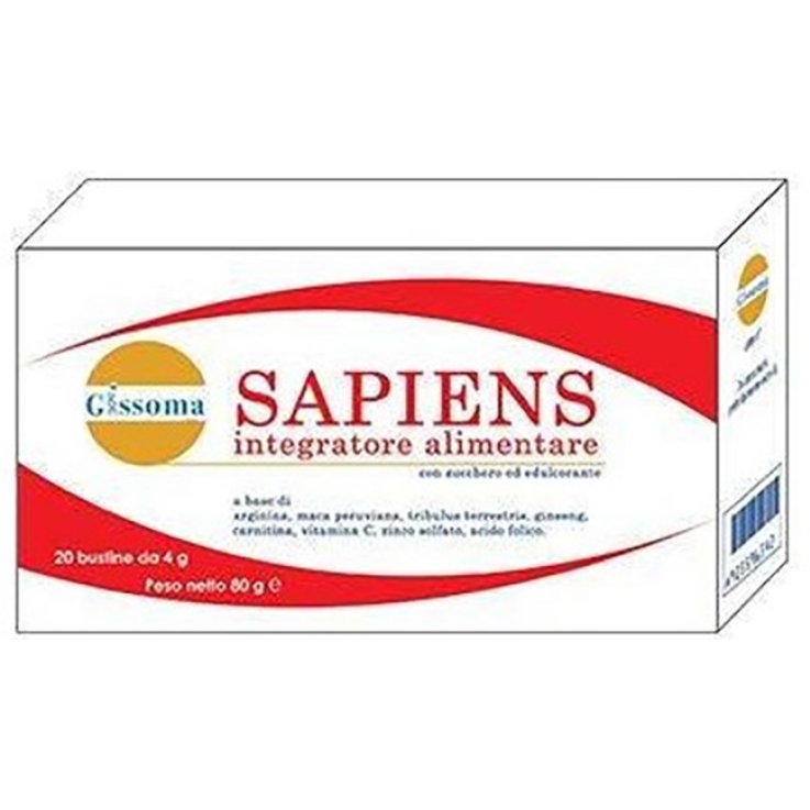 Sapiens 20bust