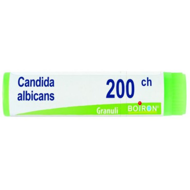 Candida Albicans 200ch Gl 1g Candida Albicans 200ch Gl 1g