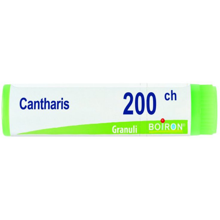 CANTHARIS 200CH GL CANTHARIS 200CH GL