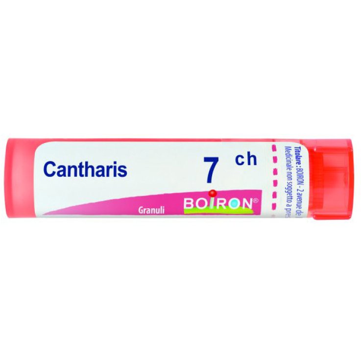 CANTHARIS 7CH GR CANTHARIS 7CH GR