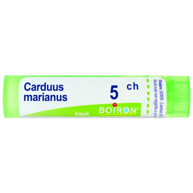 Carduus Marianus 5ch Gr 4g Carduus Marianus 5ch Gr 4g