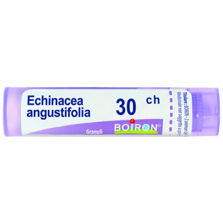 Echinacea Angust 30ch Gr 4g Echinacea Angust 30ch Gr 4g