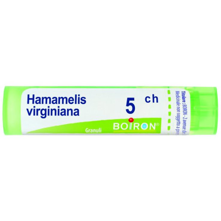 HAMAMELIS VIRG 5CH GR HAMAMELIS VIRG 5CH GR