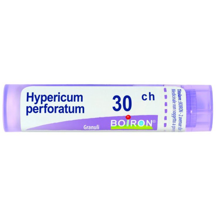 Hypericum Perf 30ch Gr 4g Hypericum Perf 30ch Gr 4g