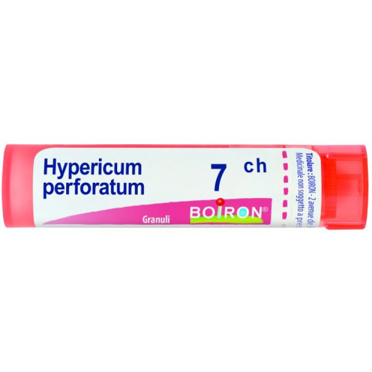 HYPERICUM PERFOR 7CH GR HYPERICUM PERFOR 7CH GR