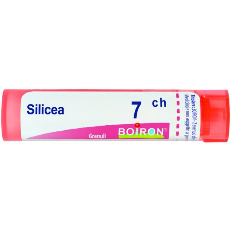SILICEA 7CH GR SILICEA 7CH GR
