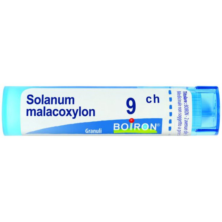 SOLANUM MALACOXILON 9CH GR SOLANUM MALACOXILON 9CH GR