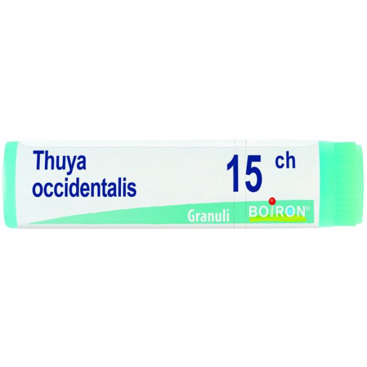 Thuya Occ 15ch Gl 1g Thuya Occ 15ch Gl 1g