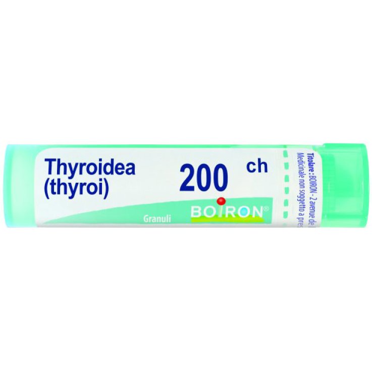THYROIDINUM 200CH GR THYROIDINUM 200CH GR