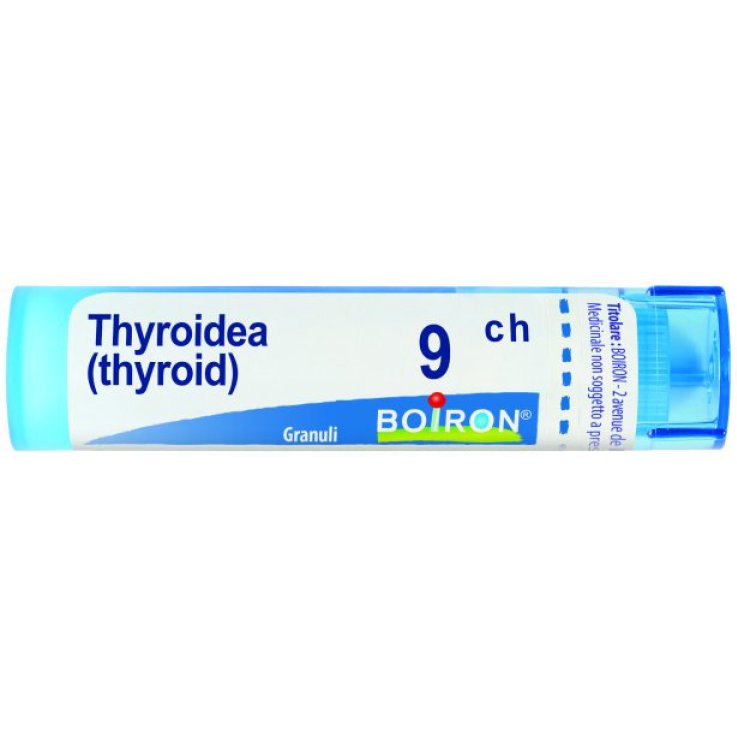 Thyroidea 9ch Gr 4g Thyroidea 9ch Gr 4g
