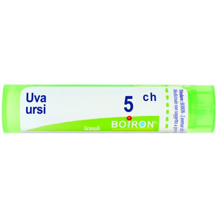 UVA URSINA 5CH GR UVA URSINA 5CH GR