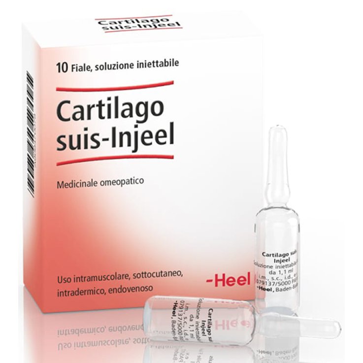 Cartilago Suis Inj 10f Heel Cartilago Suis Inj 10f Heel