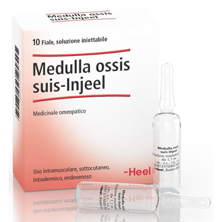 Medulla Oss Suis Inj 10f Heel