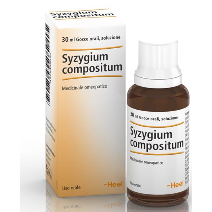 Syzygium Comp 30ml Gtt Heel Syzygium Comp 30ml Gtt Heel