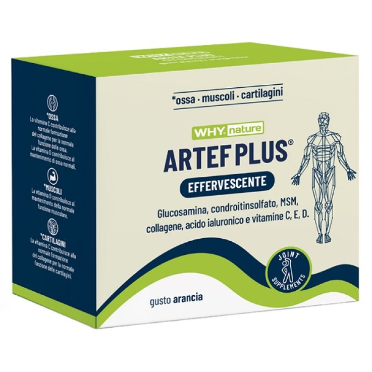 WHYNATURE ARTEF PLUS 24BUST WHYNATURE ARTEF PLUS 24BUST