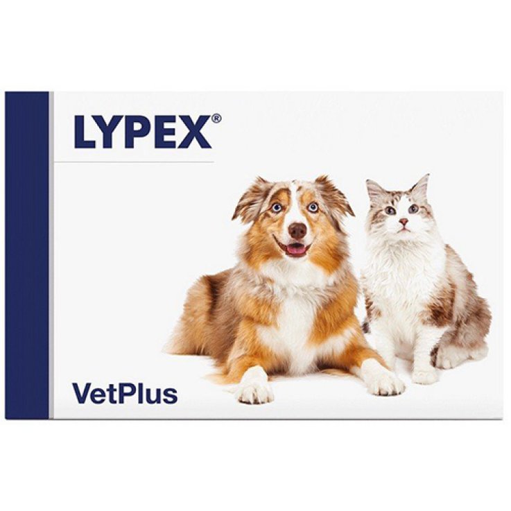 Lypex 60cps Lypex 60cps
