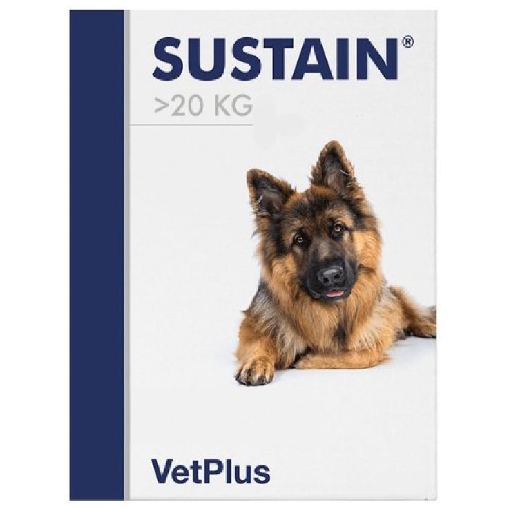 Sustain L Breed 30bust Sustain L Breed 30bust