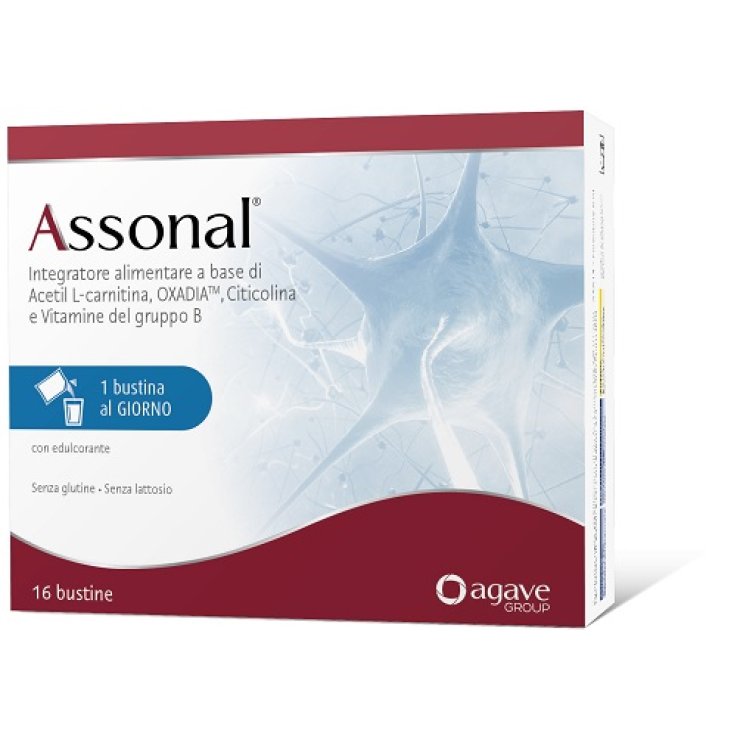 Assonal 16bust Assonal 16bust