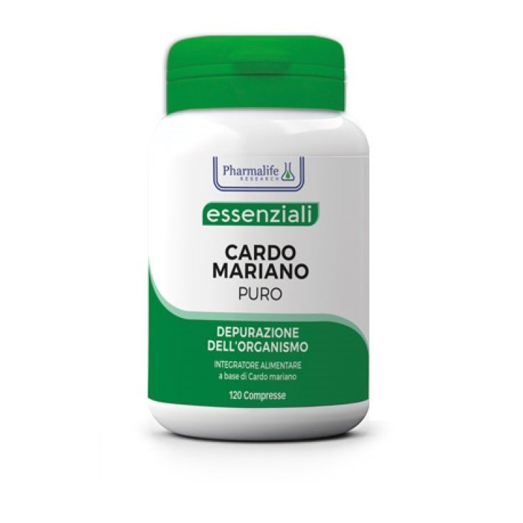 CARDO MARIANO PURO 120CPR CARDO MARIANO PURO 120CPR
