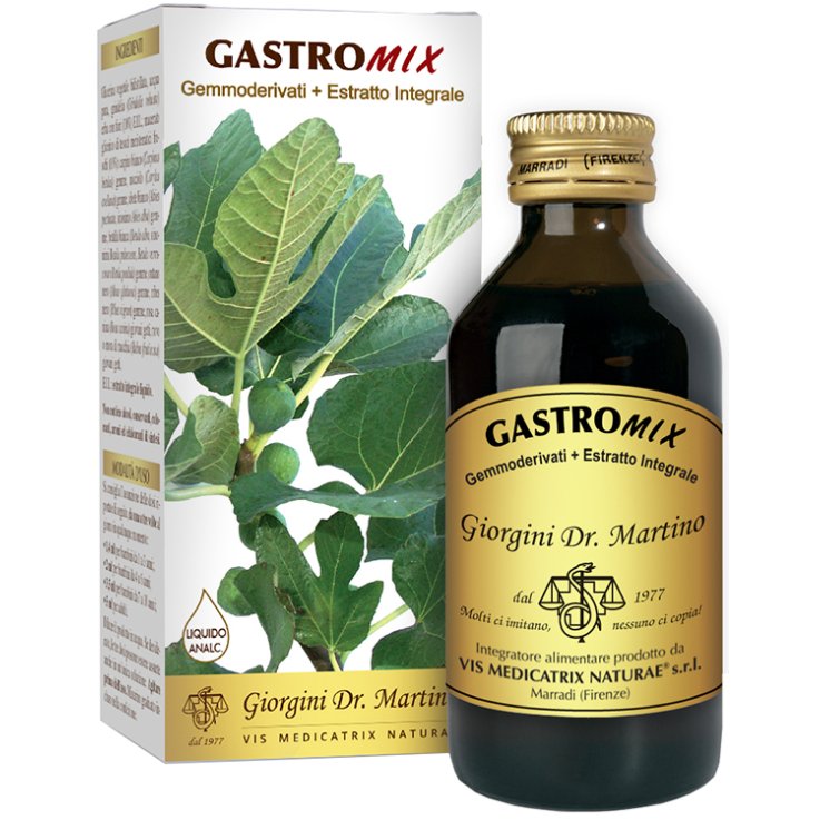 Gastromix Liquido Analc 200ml
