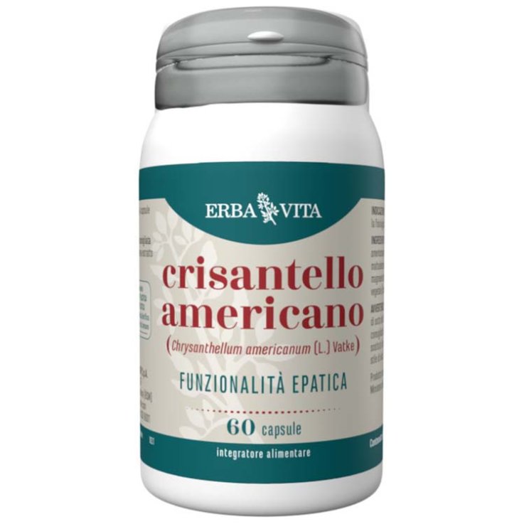 Crisantello Americano 60cps