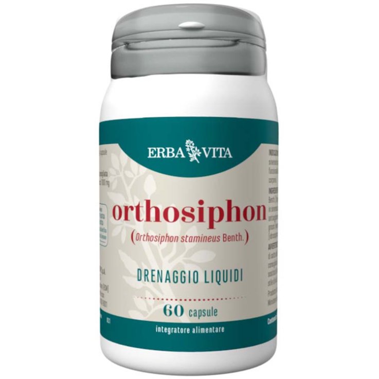 Orthosiphon 60cps