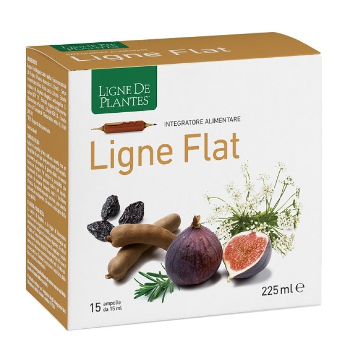 LIGNE FLAT 15AMP 15ML LIGNE FLAT 15AMP 15ML