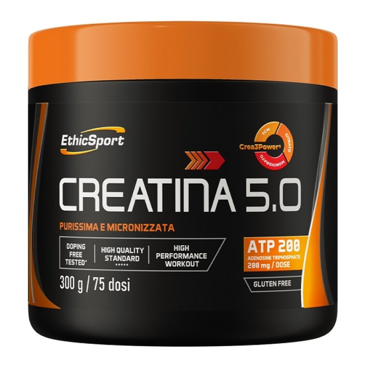 Creatina 5,0 300g Creatina 5,0 300g
