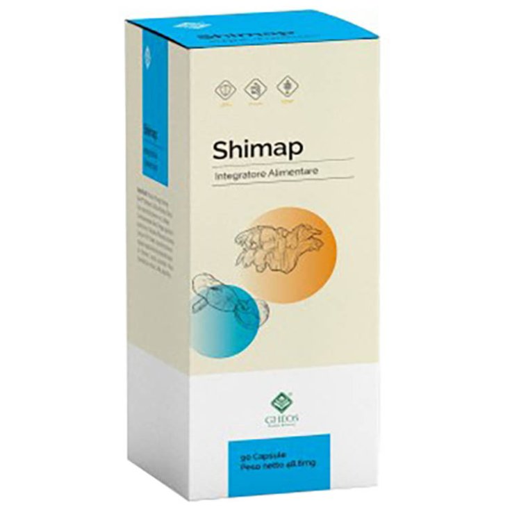 SHIMAP 90CPS SHIMAP 90CPS