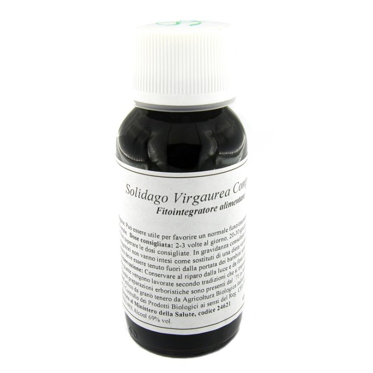 Lvs 07n Solidago Virgaure Comp Lvs 07n Solidago Virgaure Comp
