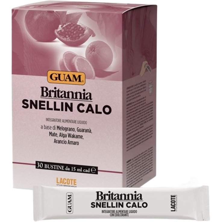 BRITANNIA SNELLIN CALO 30BUST BRITANNIA SNELLIN CALO 30BUST