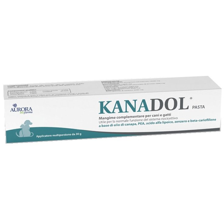 Kanadol Pasta 30g Kanadol Pasta 30g