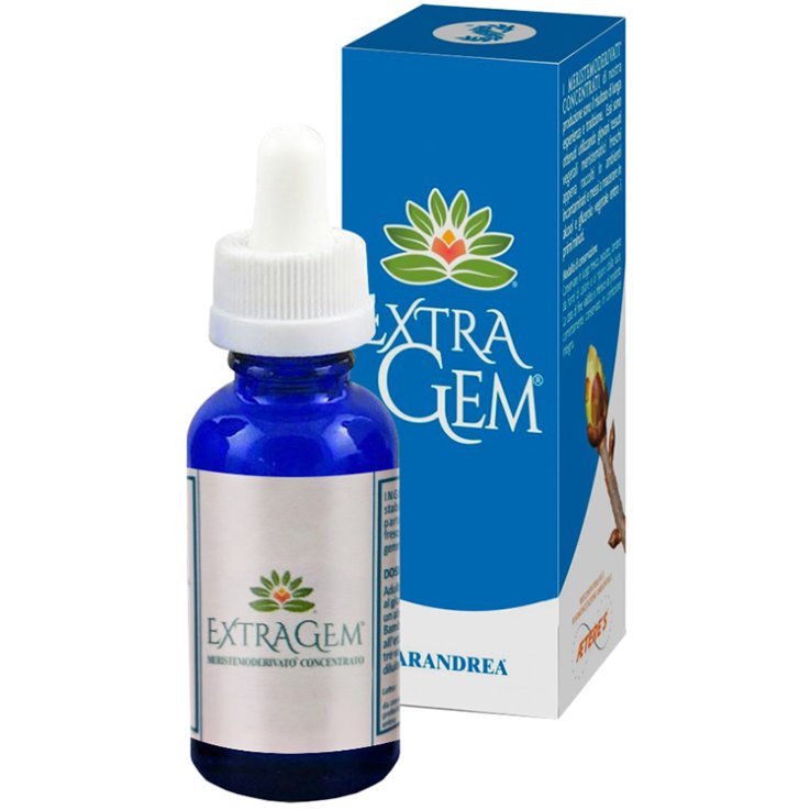 EXTRAGEM PINO MARITTIMO GEMME EXTRAGEM PINO MARITTIMO GEMME