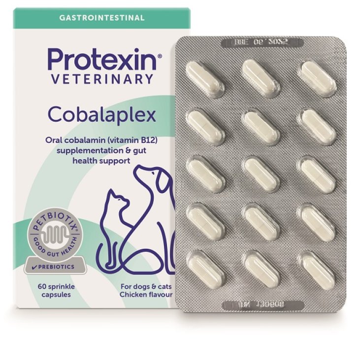 Cobalaplex 60cps Cobalaplex 60cps