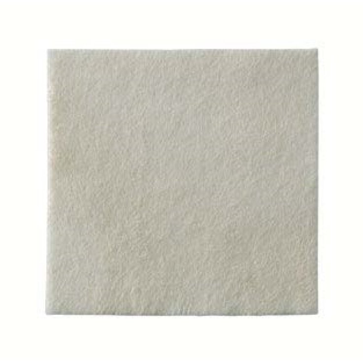 Biatain Alginate Ag 10x10 10pz