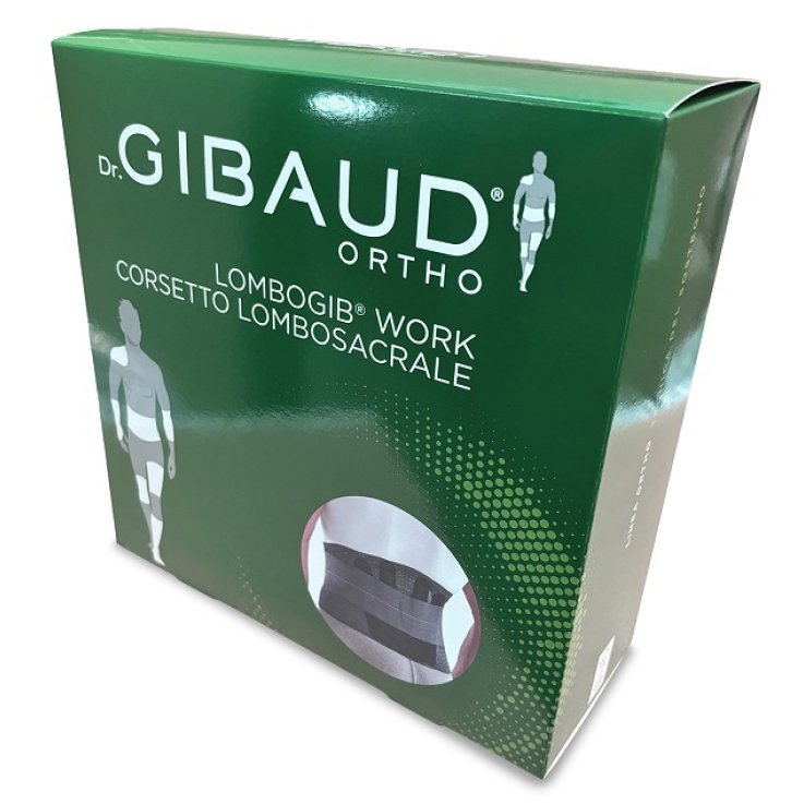 GIBAUD LOMBOGIB WORK H26 02