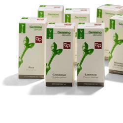 RIBES NERO MACERATO GLICERICO 100 ML - Farmadillo